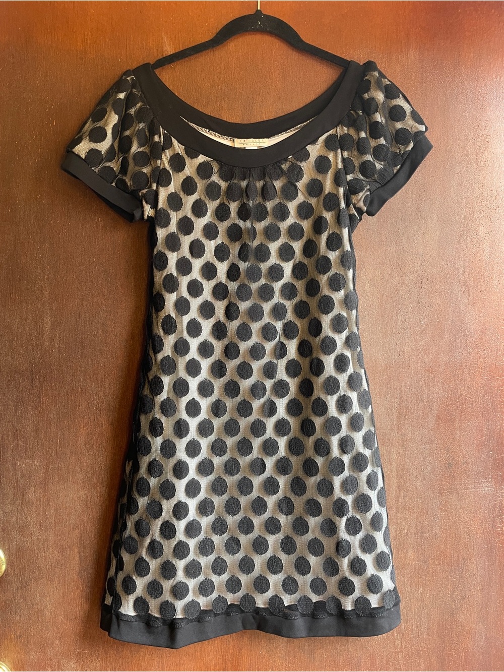 Sheer Black Polka Dot Short Sleeve A-Line Dress with White Lining
